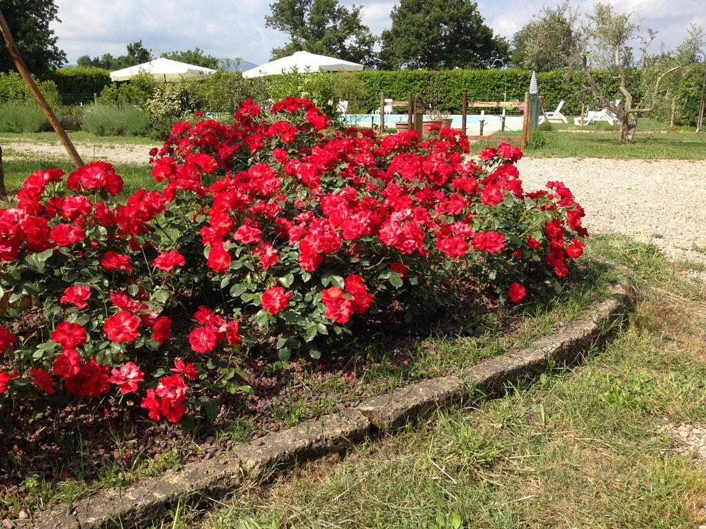 Country House Podere Le Rane Felici Fauglia Exterior photo